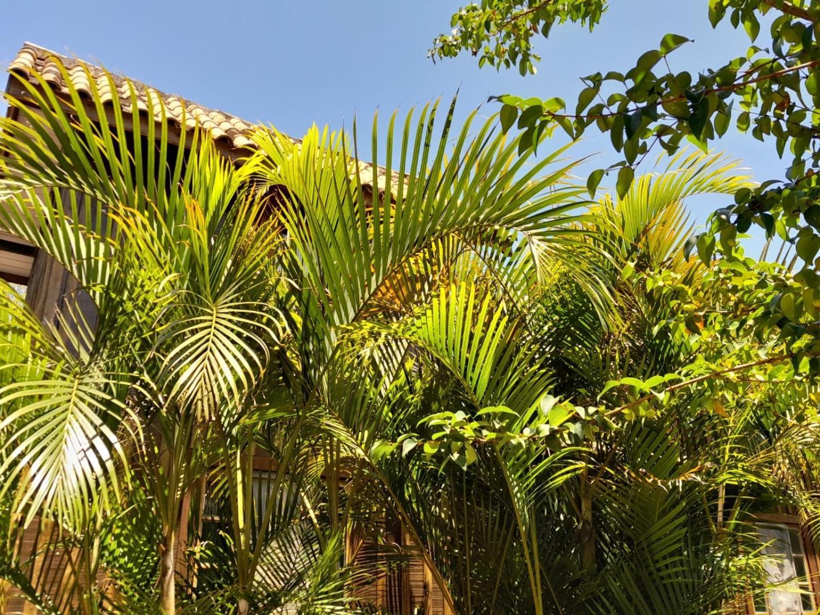 Recanto das Bromélias Chalés Guarda do Embaú Esterno foto